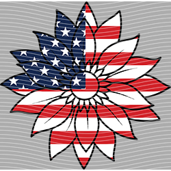 USA-MG 3307